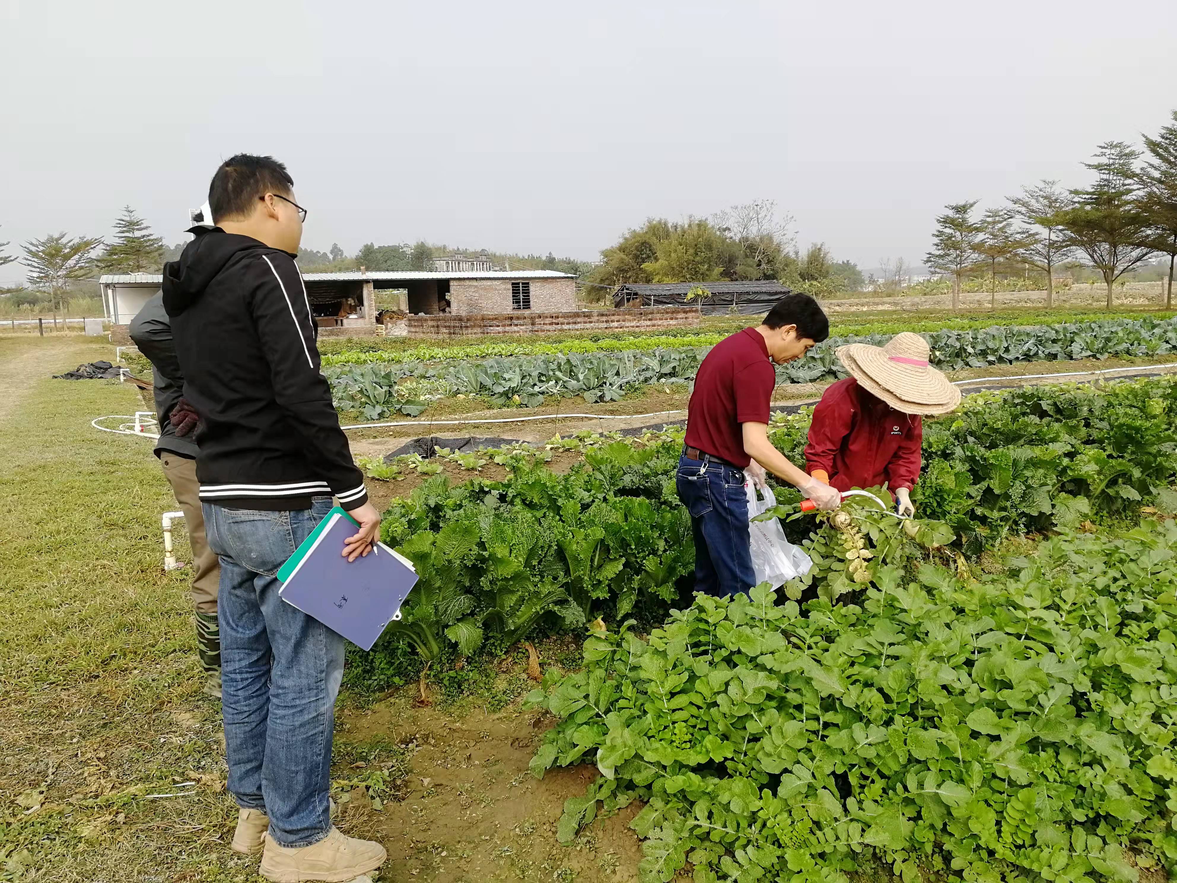 江門(mén)農(nóng)檢站到AMO農(nóng)業(yè)園抽樣.jpg